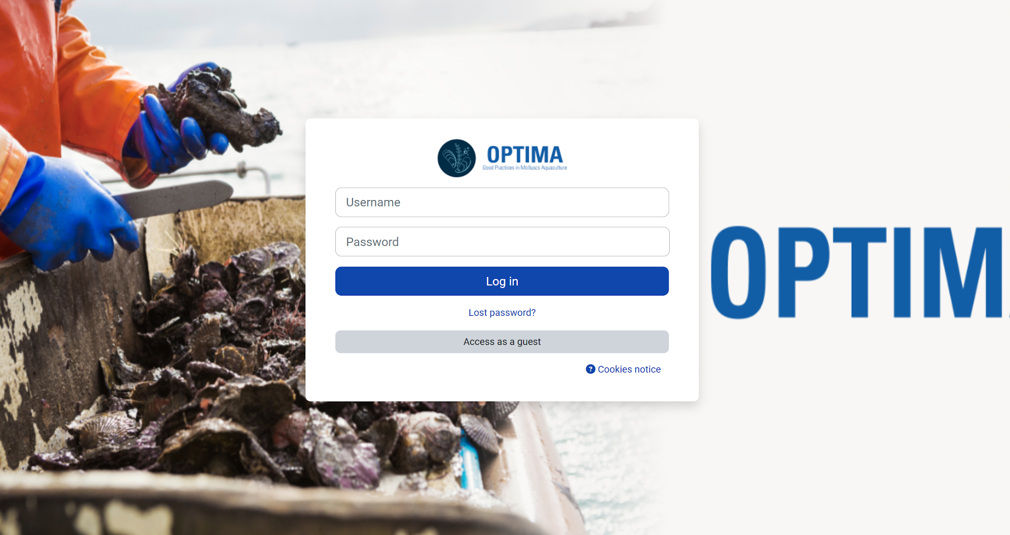 A login screen with a blue and white box AI-generated content may be incorrect.